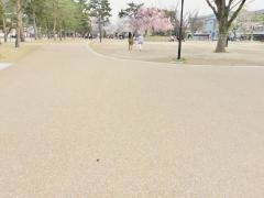 岡崎公園