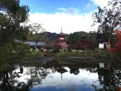 嵯峨院跡大沢池庭園