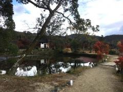 嵯峨院跡大沢池庭園
