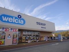 ウエルシア　橋本彩の台店