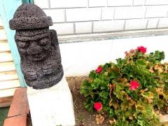 韓国居酒屋済州島
