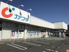 カワチ薬品　古河南店