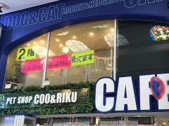 ペットショップＣｏｏ&ＲＩＫＵ　川崎銀柳街店