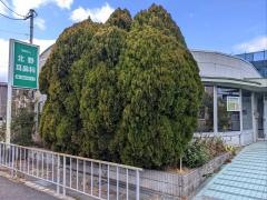 北野耳鼻科
