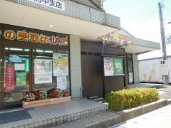 ＪＡ京都宮津府中支店