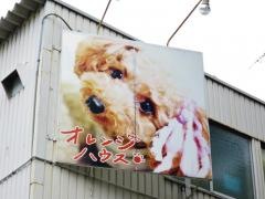 オレンジハウス