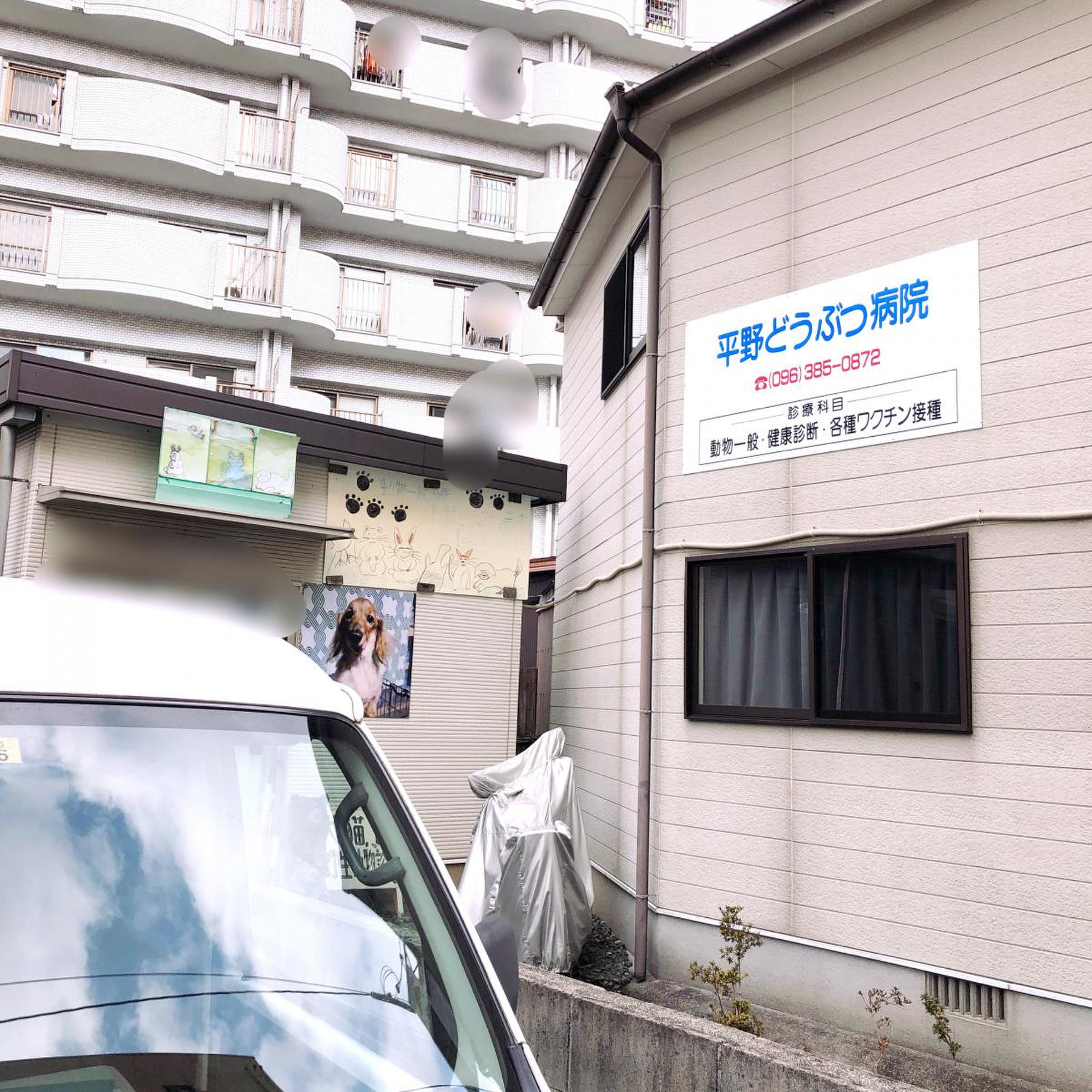 平野 動物 病院