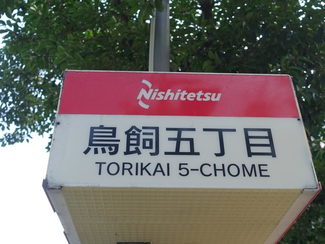 投稿写真8