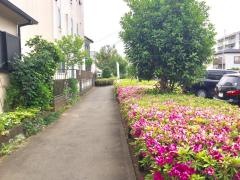 明石穂緑地