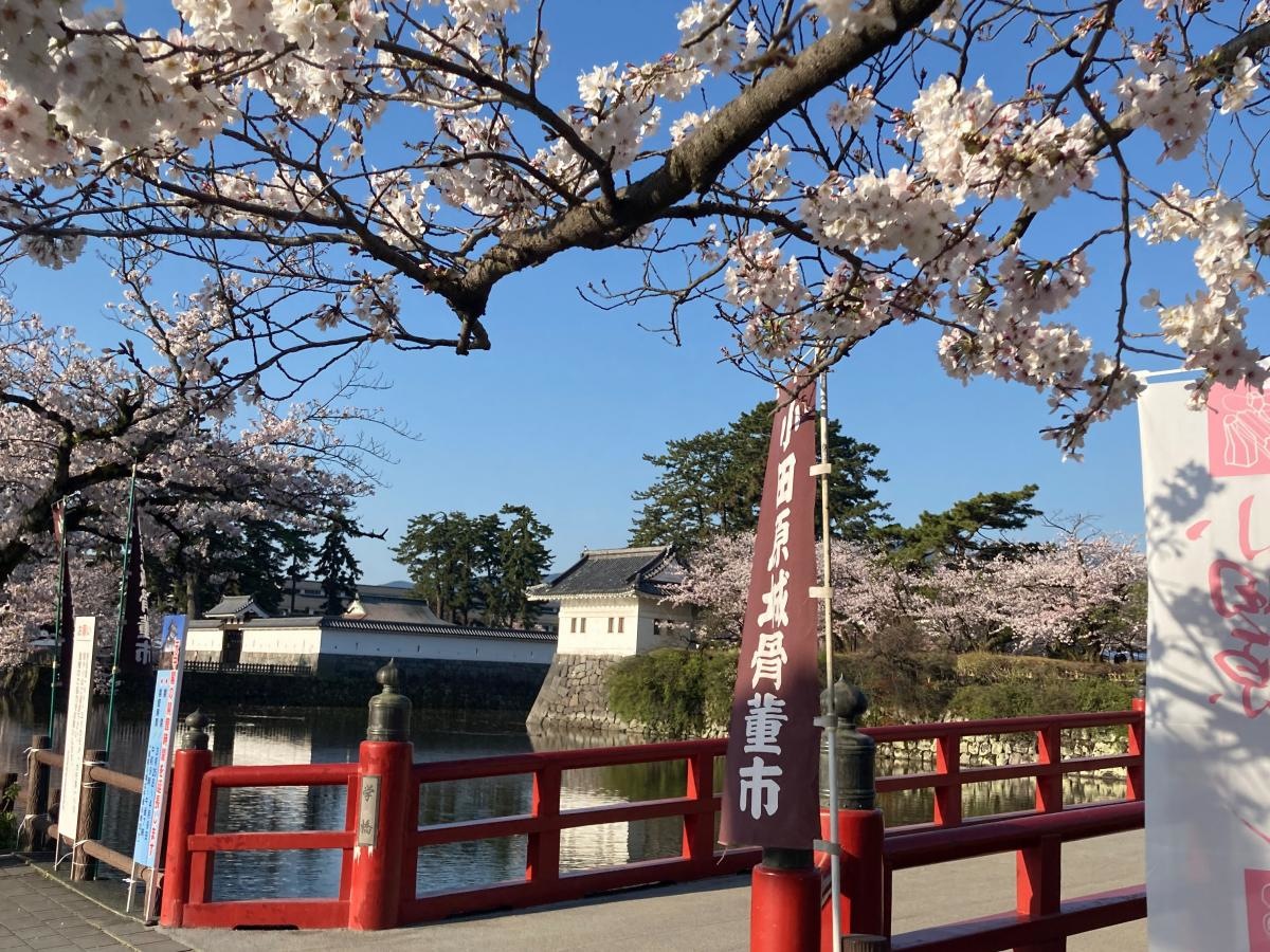 小田原城址公園の施設外観です。