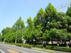 高島緑地