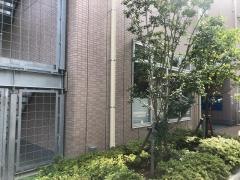 春日野会病院