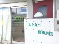 わたなべ動物病院