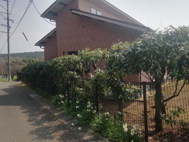 きらく