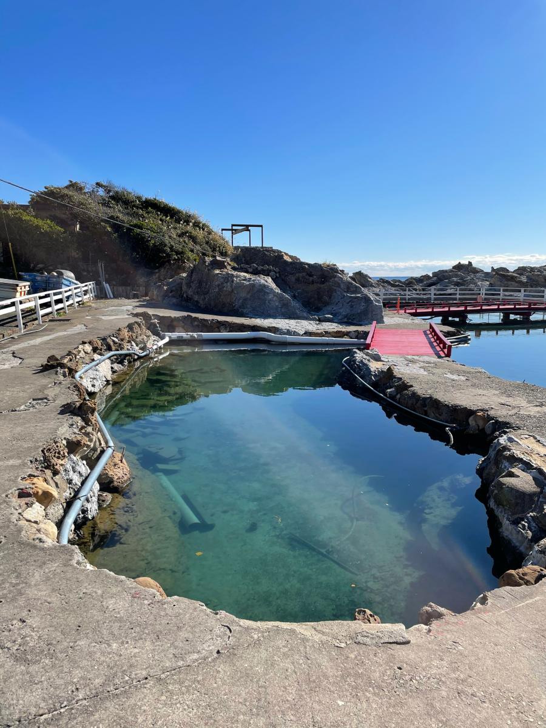 太 海 フラワー 磯 釣り センター