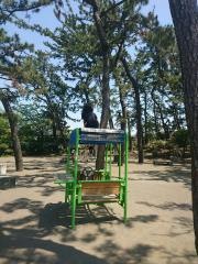 茅ヶ崎公園