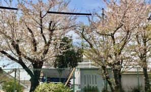 八幡第三幼稚園
