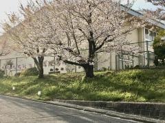 八幡第三幼稚園