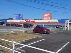 ドラッグストアウェルネス大田店