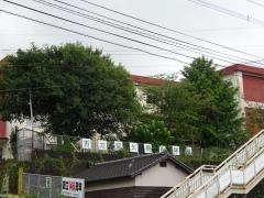 阿久根小学校