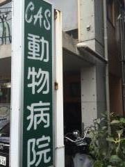 キャス動物病院