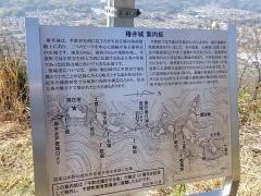 椿井城跡