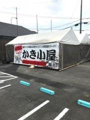 網家