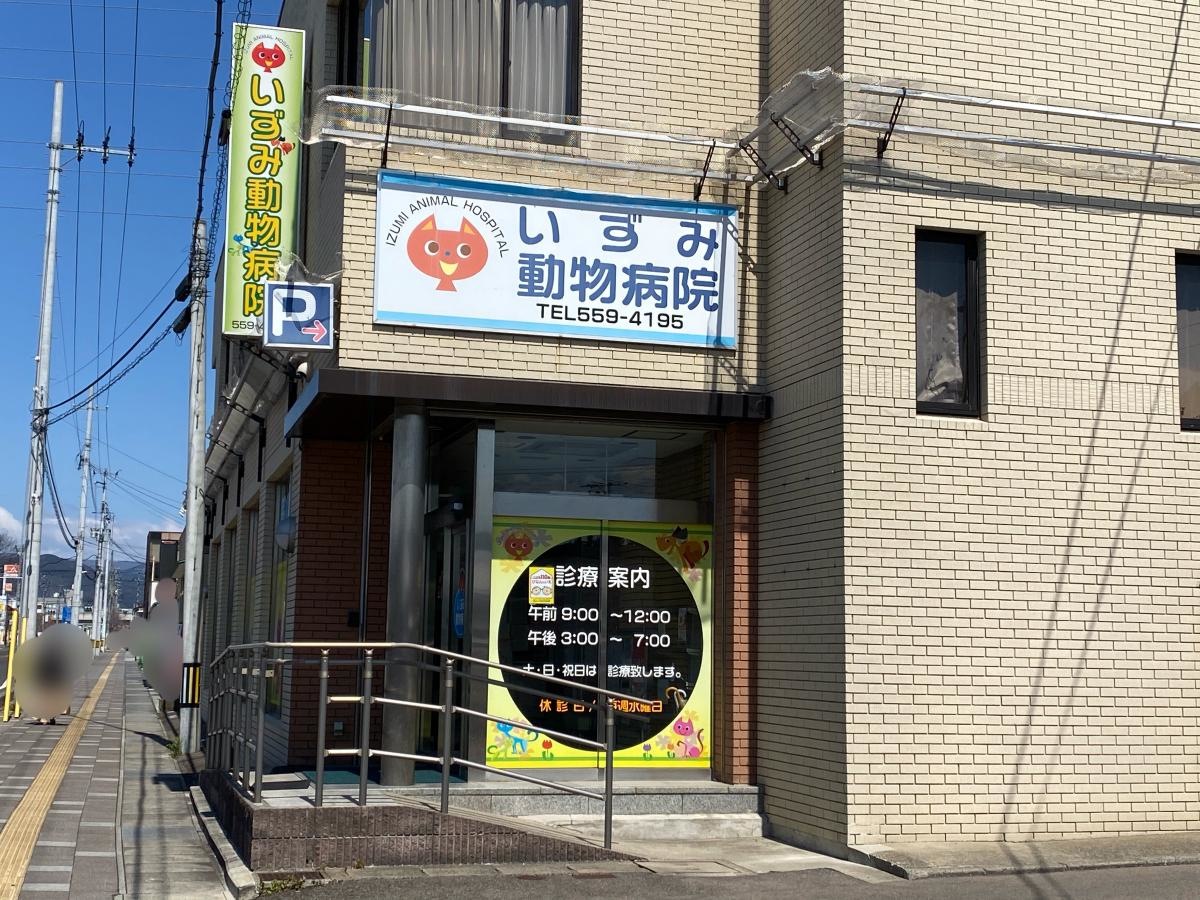 いずみ動物病院