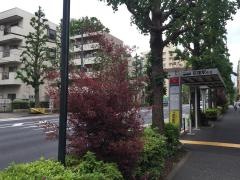 「荻窪警察署」バス停留所