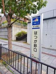 「はつが野口」バス停留所
