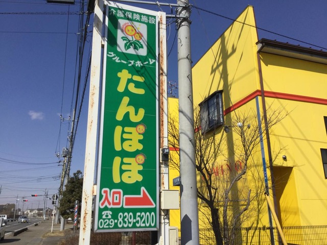 たんぽぽ