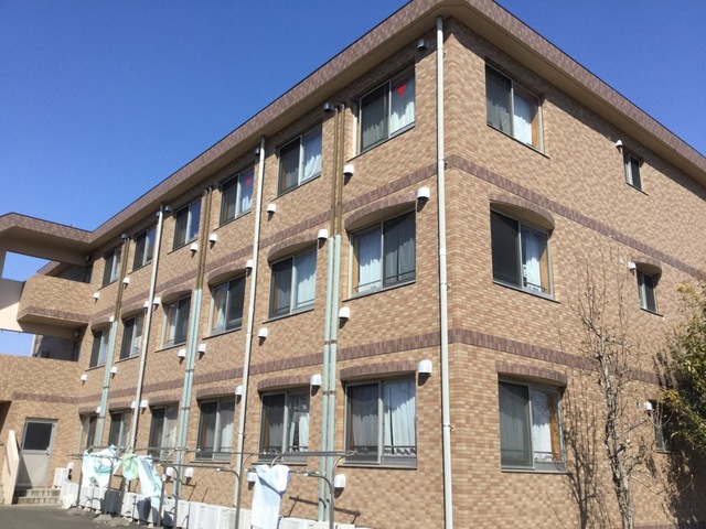 たんぽぽ