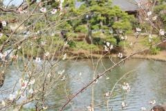 三溪園