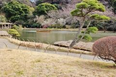 三溪園