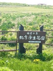 北方原生花園