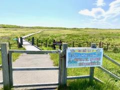北方原生花園