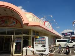 ザ・ダイソー　マルエツ綾瀬店