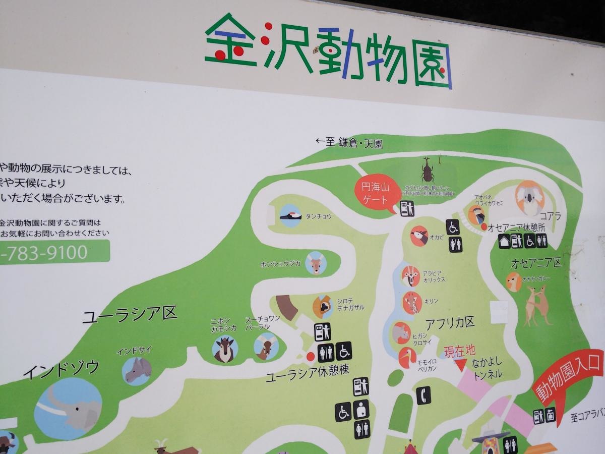 動物園