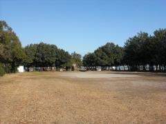 浜園公園
