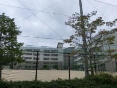 大池小学校