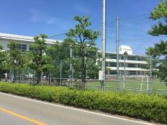 府中小学校