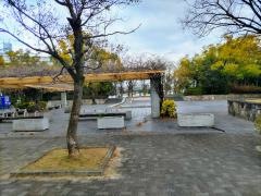 上田西公園