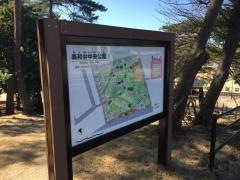 美和台中央公園