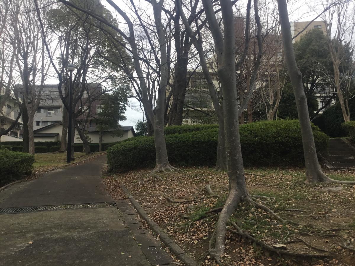 【第5号小笹緑地】