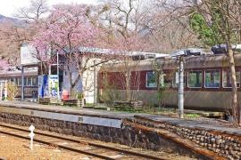 列車レストラン　清流