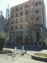 とくいずみ医院