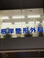 根岸整形外科