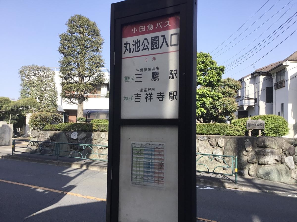 丸池公園