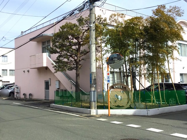 銀楊