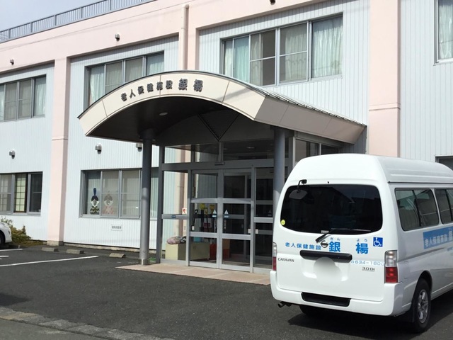 銀楊